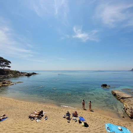 Playa Canadell Mar P Primera Linea De Mar Con Terraza กาเลญา เด ปาลาฟรูเจล ภายนอก รูปภาพ