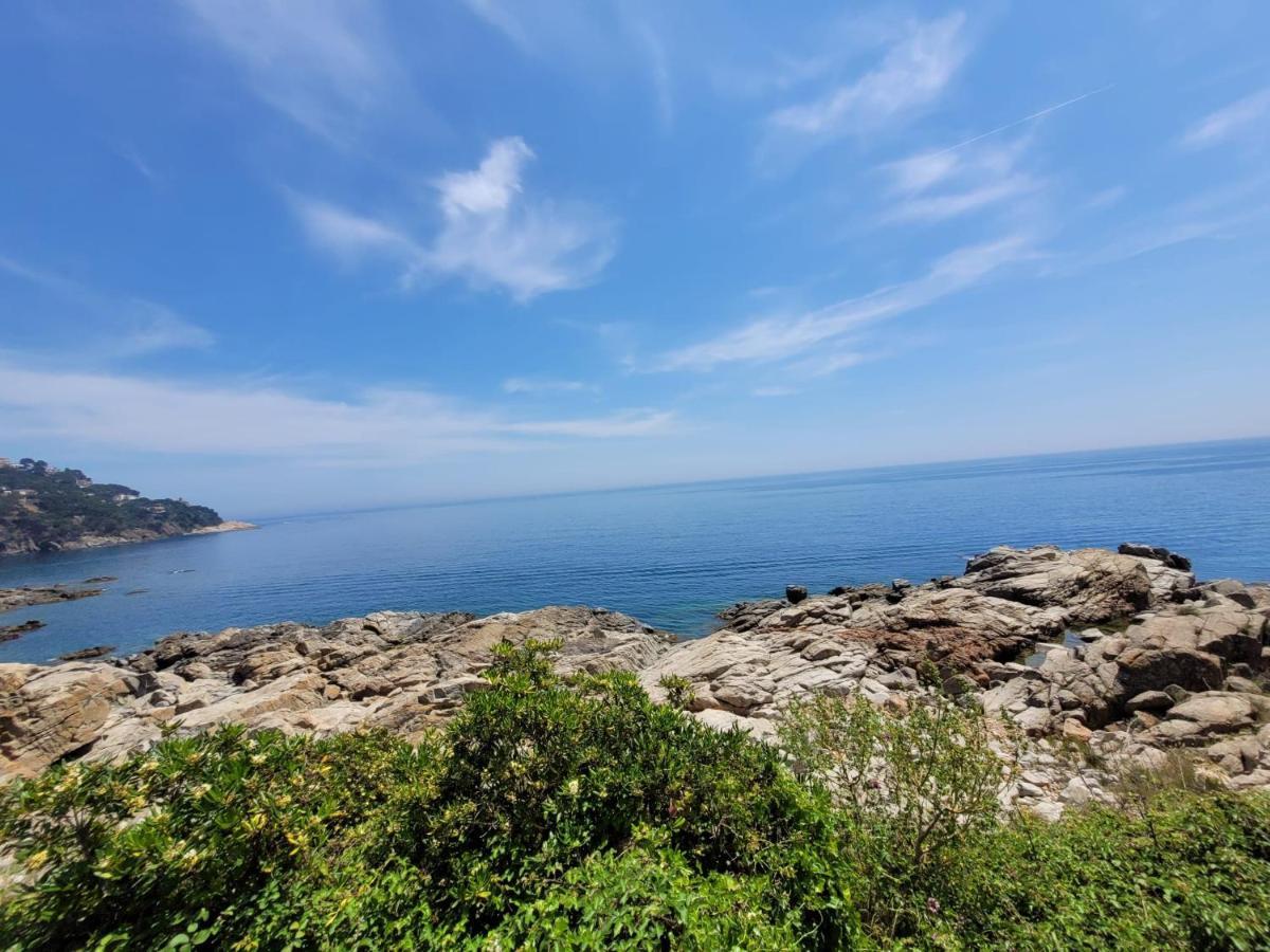 Playa Canadell Mar P Primera Linea De Mar Con Terraza กาเลญา เด ปาลาฟรูเจล ภายนอก รูปภาพ